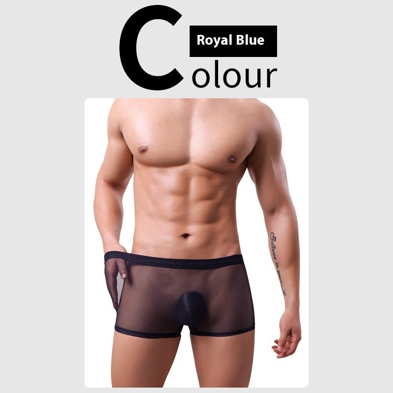 Daily Disposable See-through Nude Feel Lightweight Breathable Elastic Low Waist Boxer Briefs