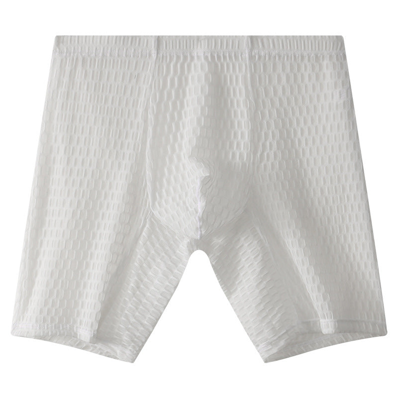 Lace Men's Lengthened Boxers Transparent