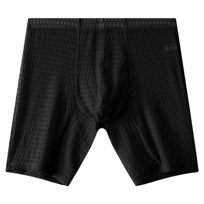 Lace Men's Lengthened Boxers Transparent
