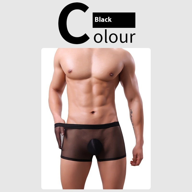 Daily Disposable See-through Nude Feel Lightweight Breathable Elastic Low Waist Boxer Briefs