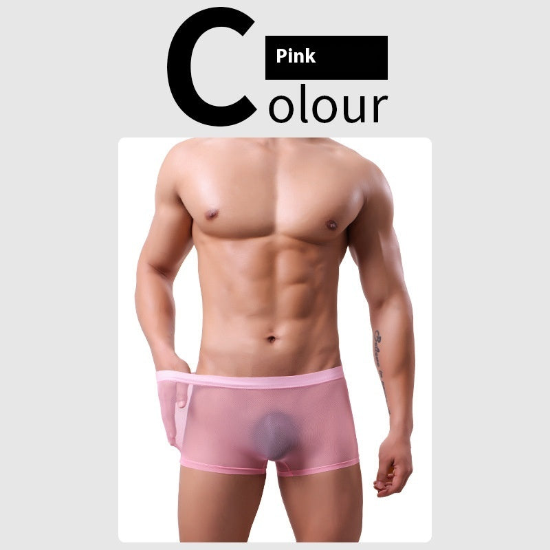Daily Disposable See-through Nude Feel Lightweight Breathable Elastic Low Waist Boxer Briefs
