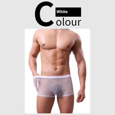Daily Disposable See-through Nude Feel Lightweight Breathable Elastic Low Waist Boxer Briefs